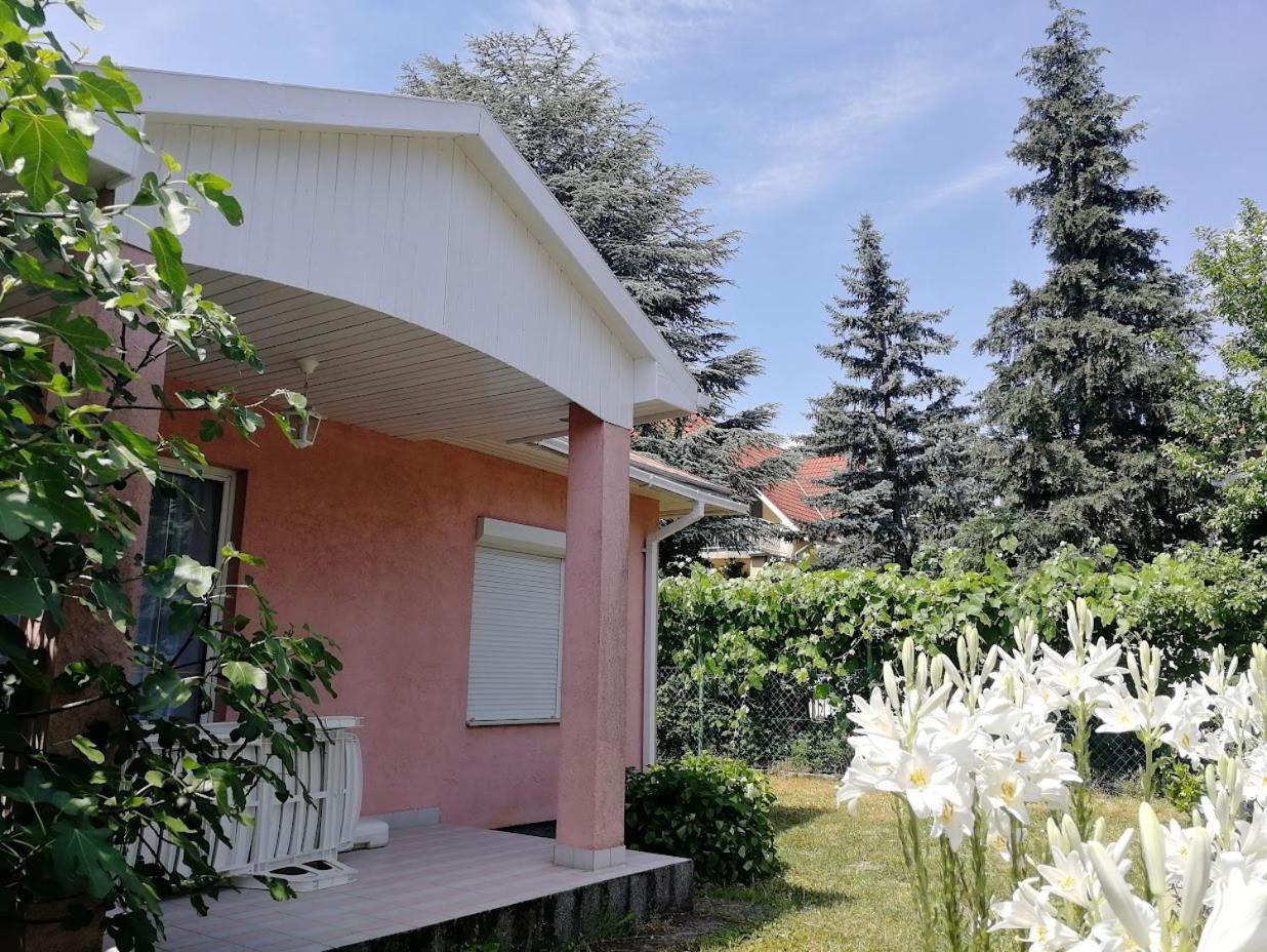פוניארצוושהג' Feszek Apartmanhaz מראה חיצוני תמונה